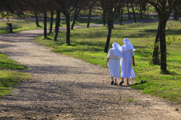两个修女沿着<strong>小路</strong>在公园里<strong>散步</strong>。