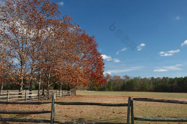 木制的马篱笆围绕着一大片草地，草地上长满了五颜六色的秋红色树木