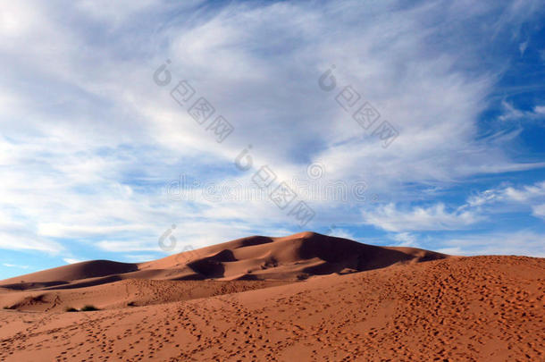 撒哈拉沙漠沙丘上的脚步声