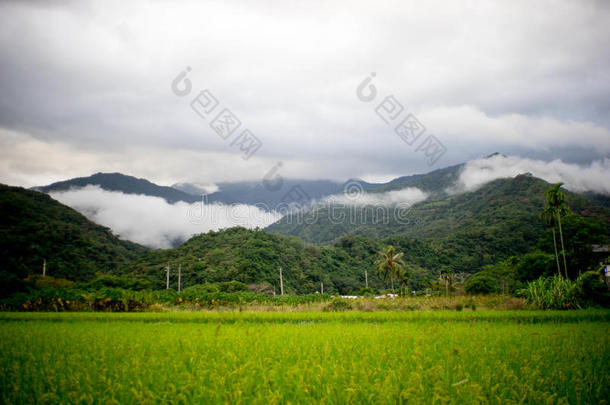 台东农庄山