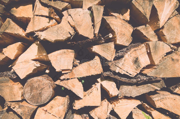森林里堆放的云杉木柴。酿造的。