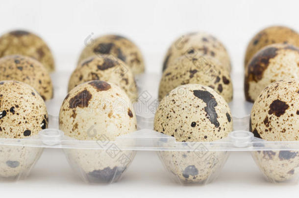 鹌鹑蛋放在鸡蛋盒上，侧视，正面聚焦