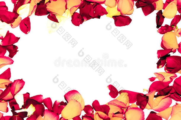 白底玫瑰花框浪漫卡片