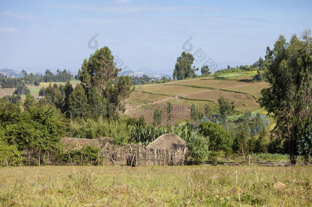 埃塞俄比亚住房和农场