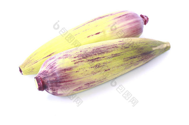 紫玉米-库存图片