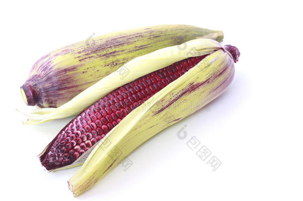 紫玉米-库存图片