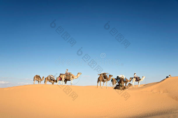 撒哈拉沙漠沙漠中的骆驼商队