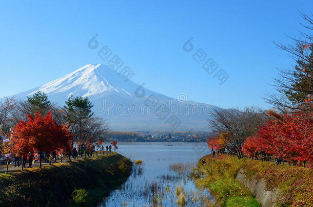 富士山秋天的川口湖