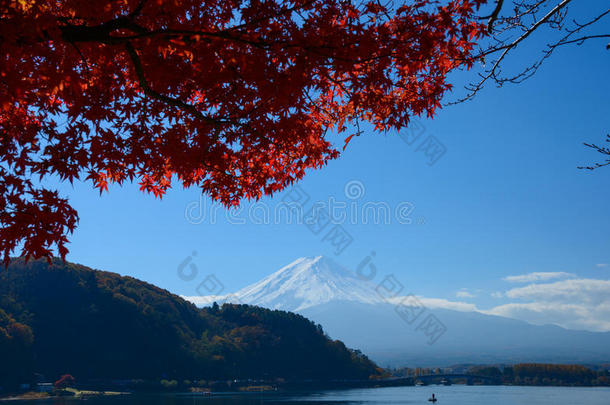 富士山秋天的川口湖