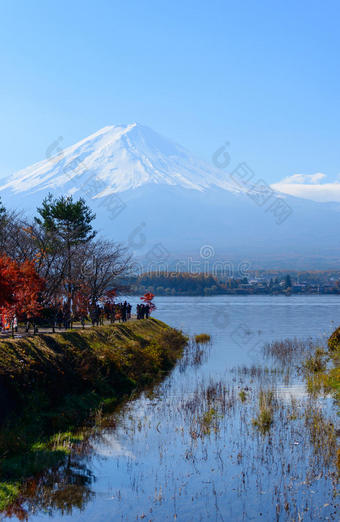 富士山秋天的川口湖图片