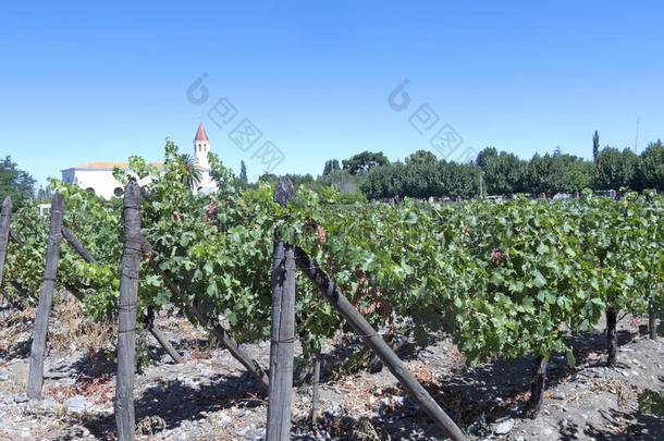 智利迈坡谷葡萄酒产业