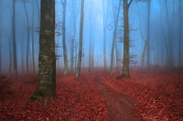 <strong>童话森林</strong>里的蓝雾天和红叶