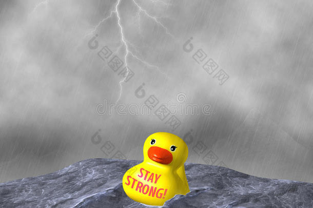 <strong>坚强坚强</strong>黄鸭漂浮暴雨插图