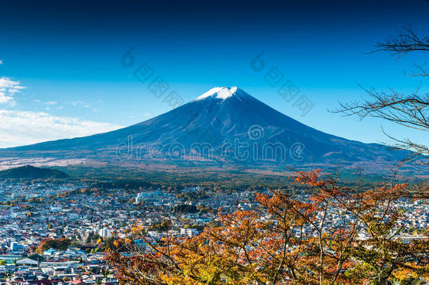 从红塔看富士山