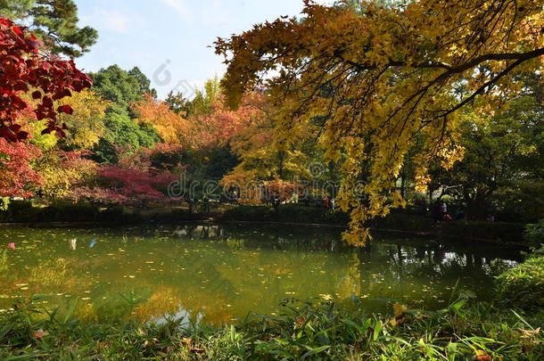 苏州天<strong>平山</strong>红枫节。