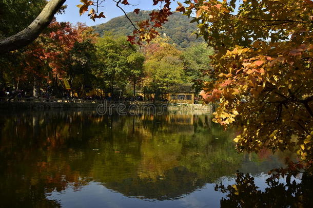 苏州天<strong>平山</strong>红枫节。