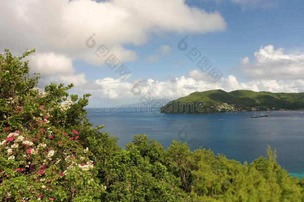 格林纳丁斯群岛贝奎亚的风景画