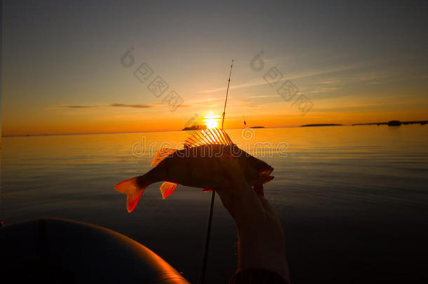 日落河鲈鱼用船和鱼竿钓鱼