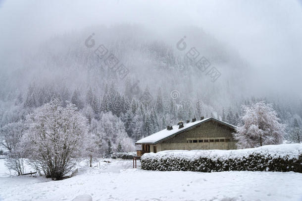冬季高山景观，有霜冻的树木和房屋