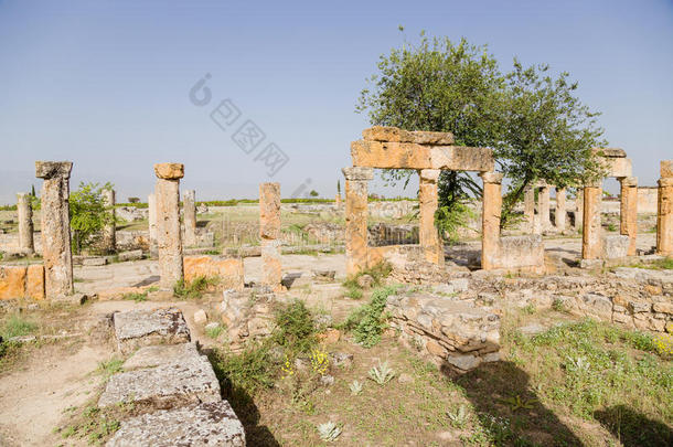 土耳其希拉波利斯。弗朗蒂努斯街柱廊遗址，公元1世纪，联合国教科文组织名录