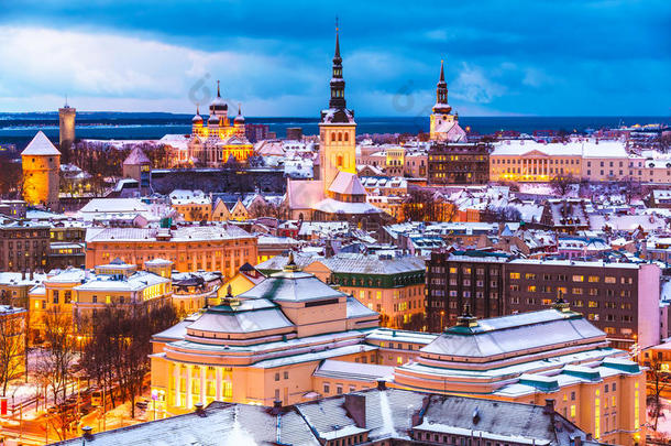 爱沙尼亚塔林冬夜空中风景