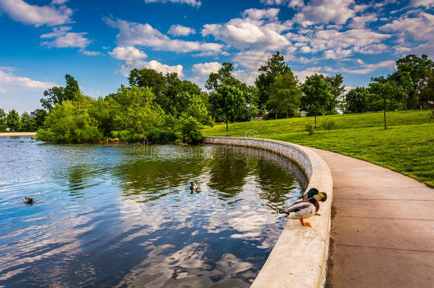 马里兰州巴尔的摩帕特森公园的池塘。
