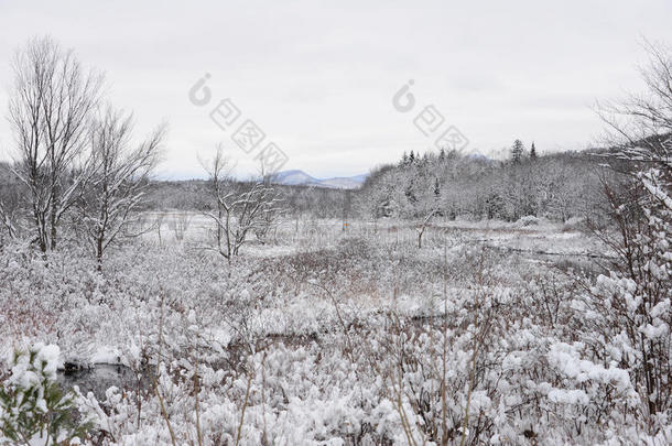 从纽约<strong>投机</strong>者的白雪覆盖的挖掘山景