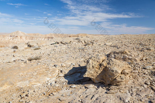 沙漠里的石头。