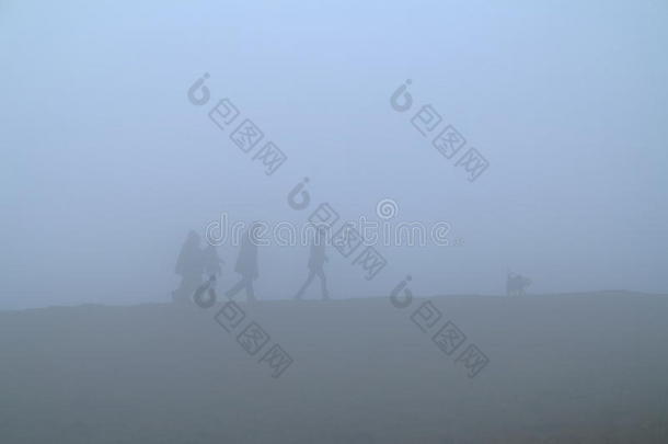 浓雾中人和狗行走的剪影