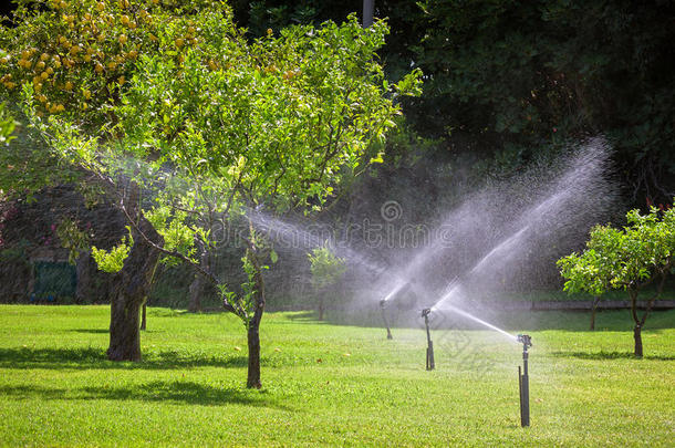 花园自动喷水器浇水