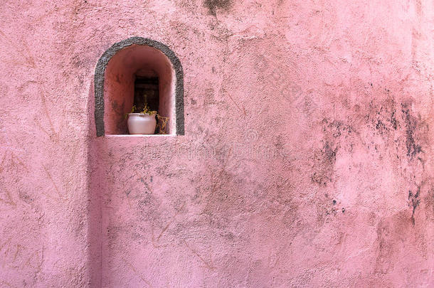粉红色墙上的花盆。