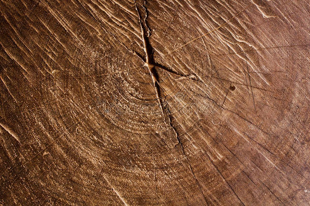 树干的木质纹理，背景纹理。