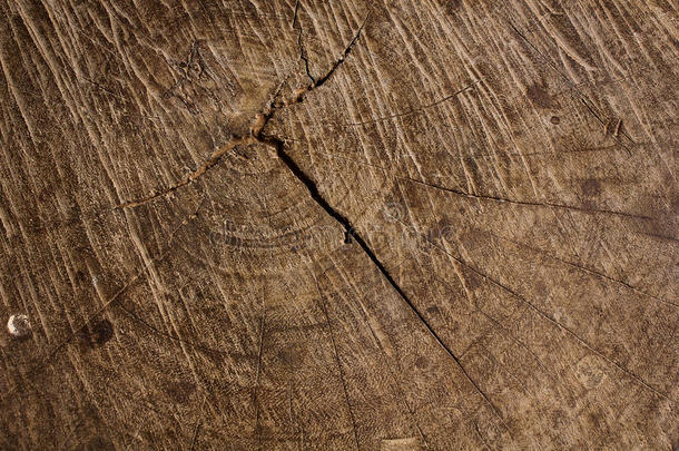 树干的木质纹理，背景纹理