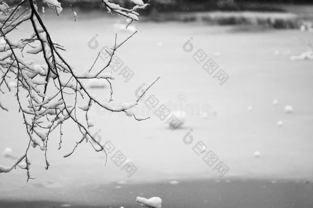 雪景。分支机构详情