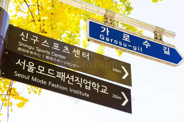 大韩<strong>民国</strong>首尔garosugil街道标志