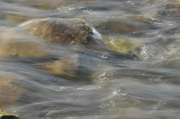 河里的石头。<strong>水流</strong>湍急。清爽的山溪。晶莹的<strong>水流</strong>。