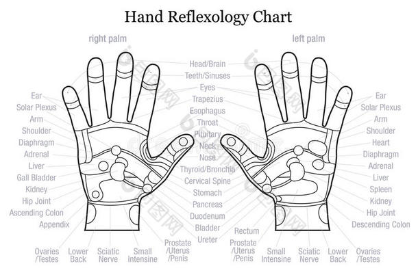 手部反射图描述大纲