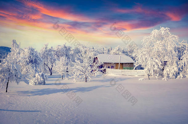 冬天的童话，大雪覆盖了树木和房屋