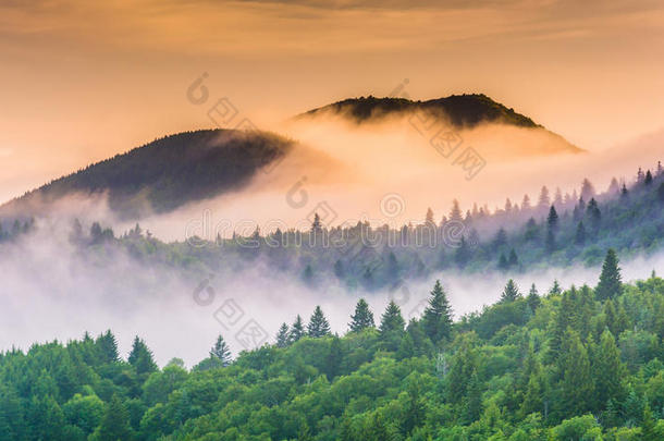 日出时的大雾笼罩着群山，从尼亚加拉邦的魔鬼法院看到