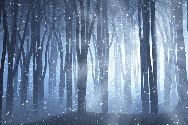 冬天<strong>夜晚的森林</strong>景色