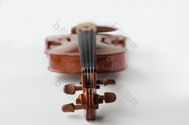 小提琴平躺在白色背景上靠近最前端的调音钉