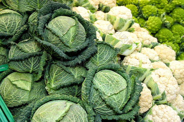 卷心菜蔬菜。西兰花和花椰菜