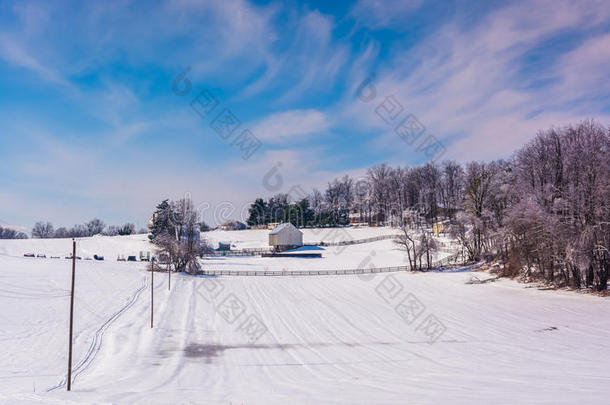 马里兰卡罗尔县农村的冬天，被雪覆盖的农田。