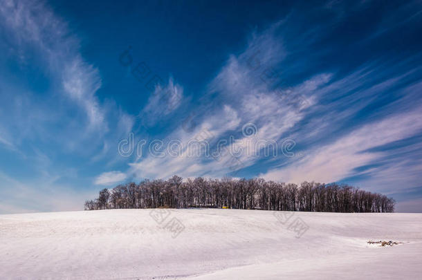 一簇树和一片白雪覆盖的农田上的<strong>云朵</strong>