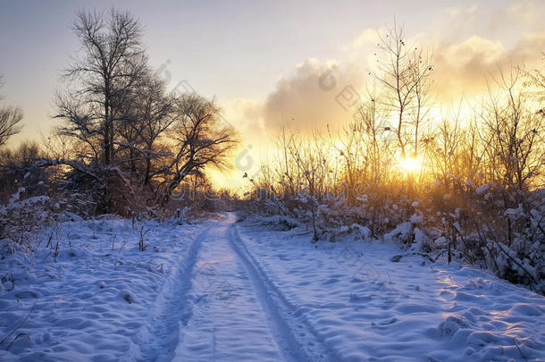 美丽的冬日景色和日出的天空