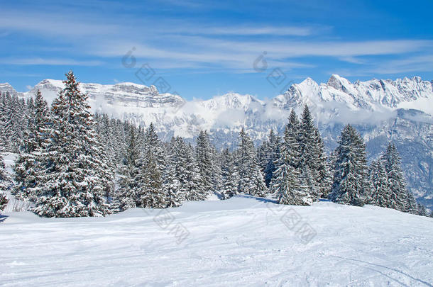 阿尔卑斯山的冬天