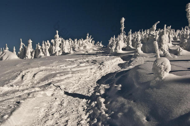 莫拉夫斯奥斯雷茨克-贝斯基迪的冬季雪天
