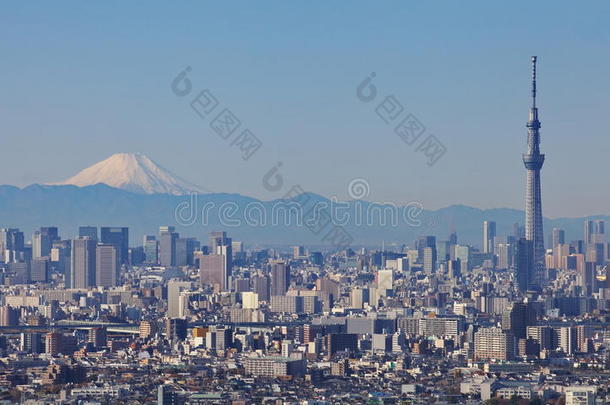 东京天树与富士山