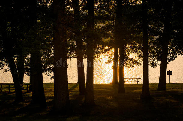宾夕法尼亚州吉福平肖州立公园，夕阳下的平朔<strong>湖畔</strong>的<strong>树木</strong>。