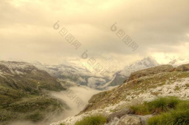 小溪在新鲜的阿尔卑斯草原上，背景是阿尔卑斯山的雪峰。秋末山区寒冷多雾多雨的天气。